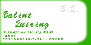 balint quiring business card